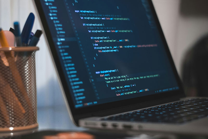 Perlの副業はまだまだ人気！需要がある理由